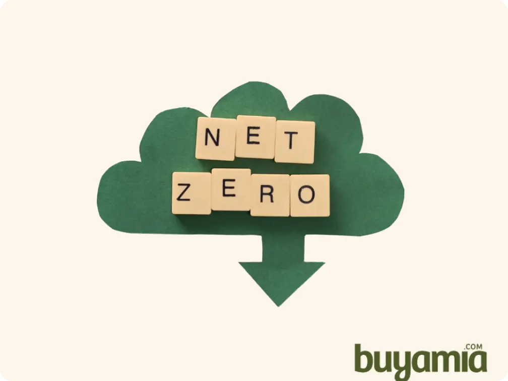 Green cloud with net zero